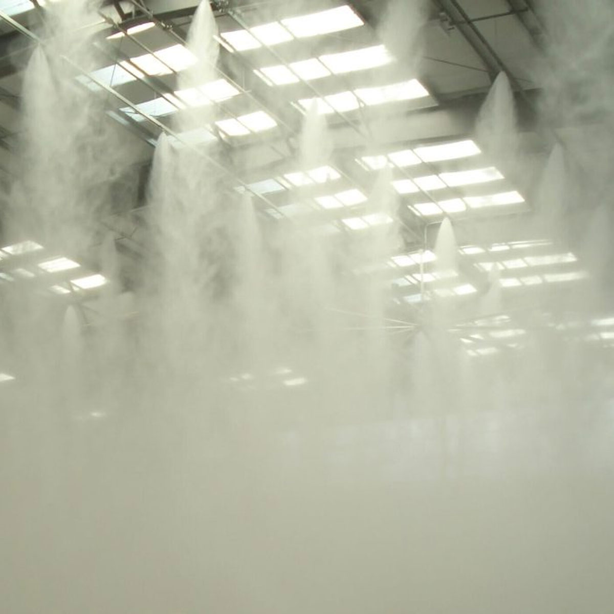 Extinction-brouillard-4_1200 Extinction-brouillard-4_1200